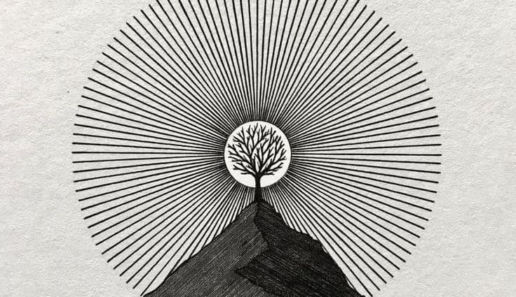 A tree at the centre of a sunburst of radiating lines