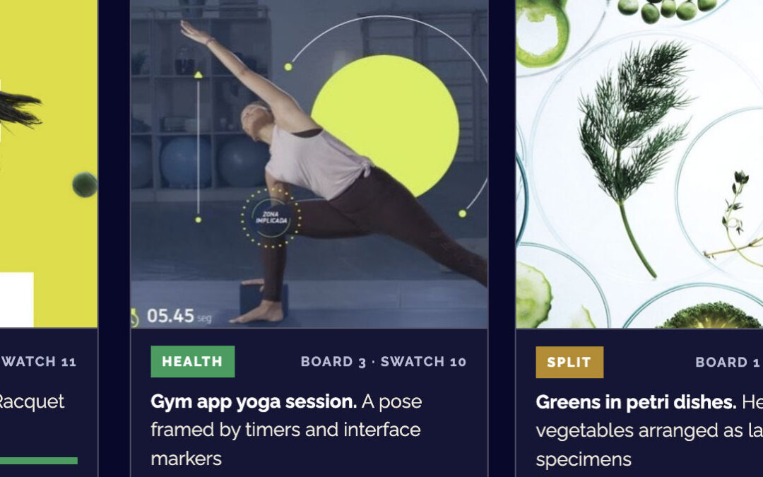 How a U.S. Public Distinguishes “Health” from “Wellness”