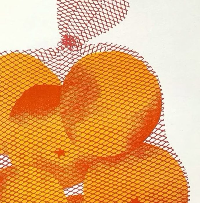 Red netting rendered in ink over printed fruit