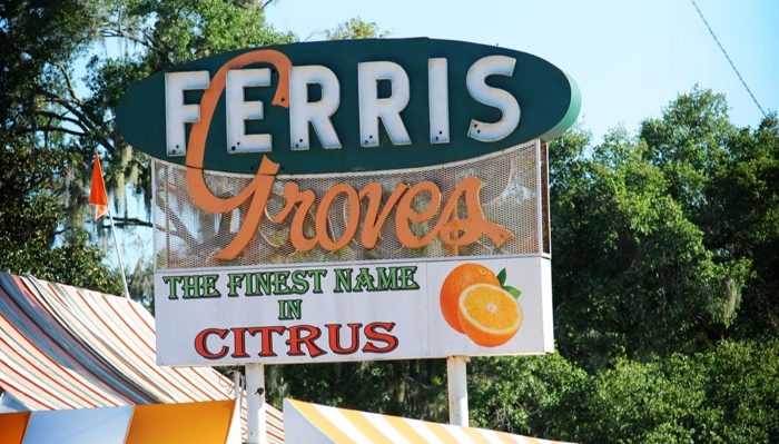 Hand-painted citrus-stand signage against the trees